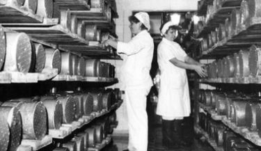 Rokpol wchodzi do gry