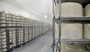 Wreszcie „na swoim”